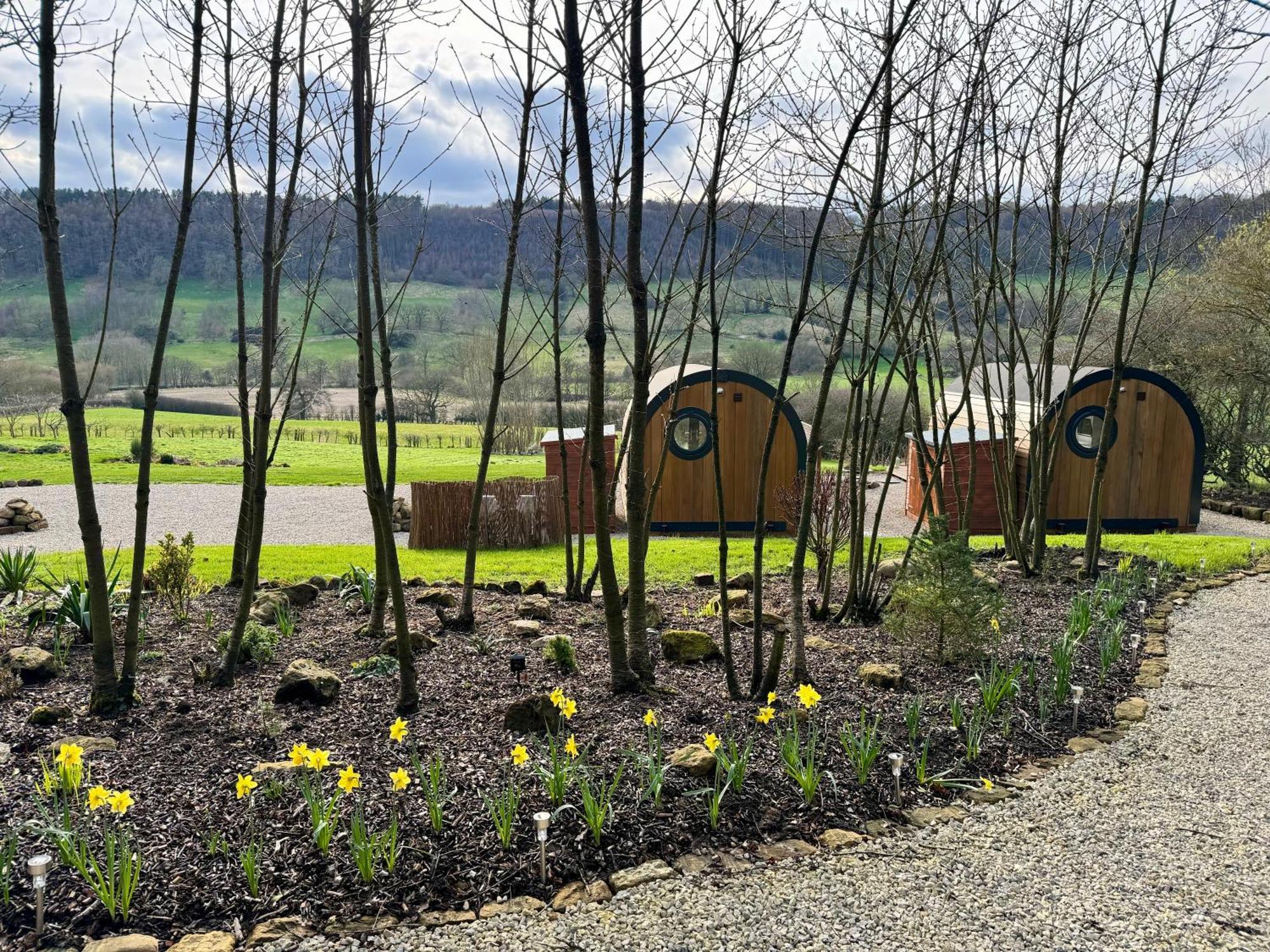 Luxury Glamping In North Yorkshire National Park & Coastal Area *